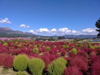 DSC_c0645