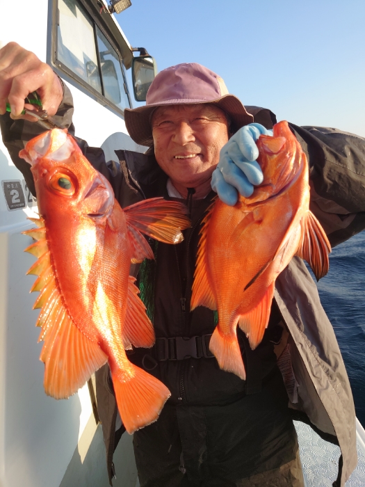 イワシ泳がせと切り身釣り