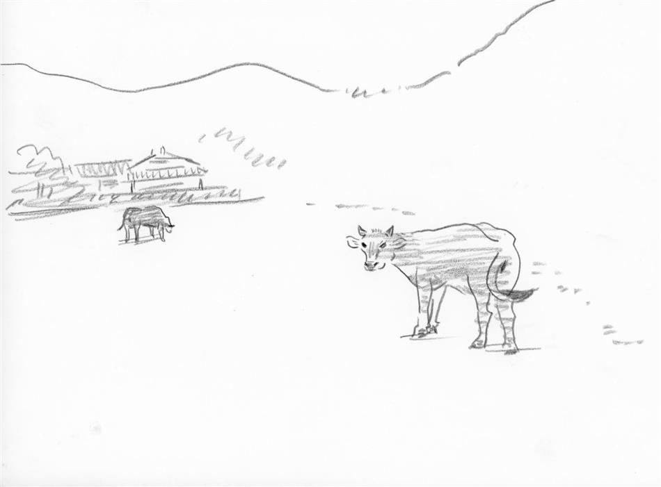 52位⑦　牛が２頭