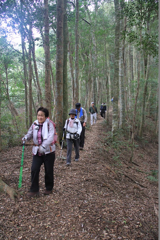 角山官山ウォーキング