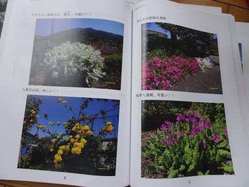 加子母の花々