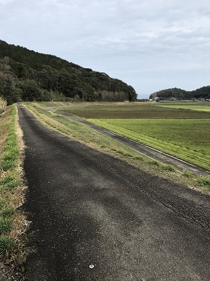 作業後　3月7日　２