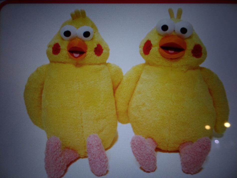 ポインコ兄弟