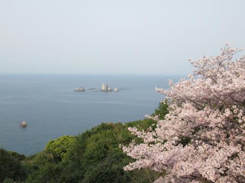 2018桜8