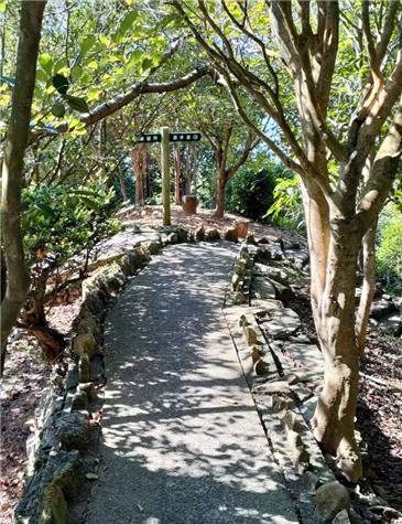 宝箱ヒント！（大江編）