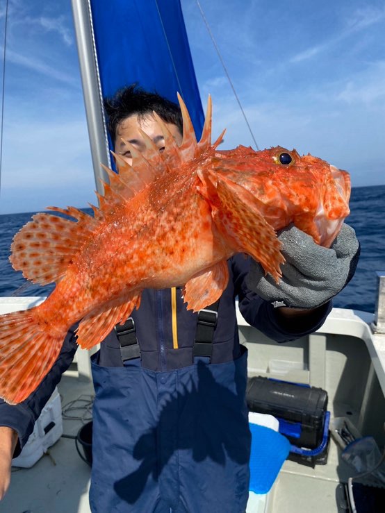 鯵の泳がせ＆冷凍イワシ　根魚釣り