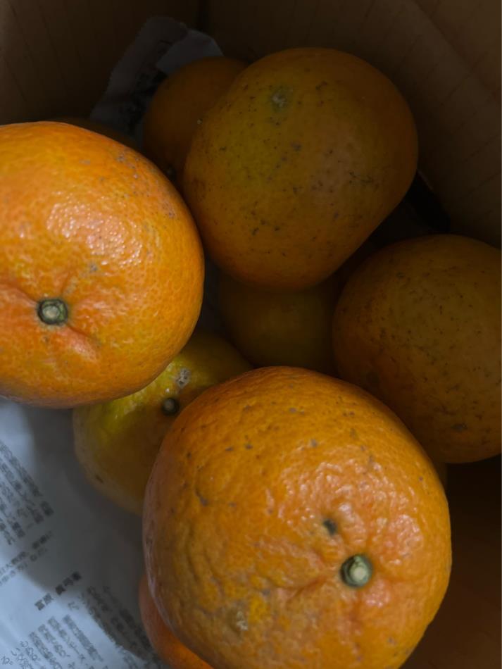 今日のお仕事②