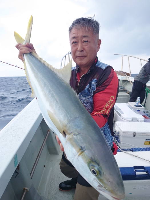 落とし込み釣り