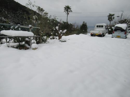 大雪５