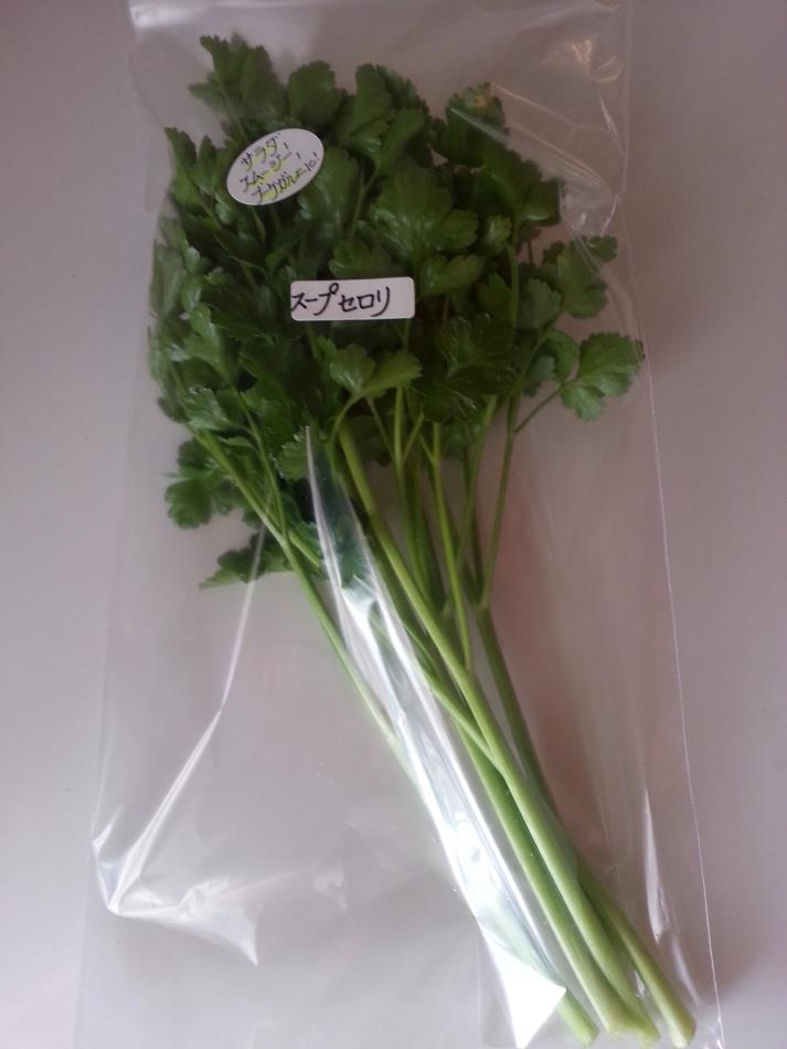 スープセロリ 商品紹介 レシピ集 Naturalherb 香草園 ナチュラルハーブ香草園