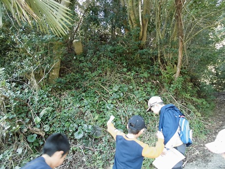 石投げ地蔵　自然観察