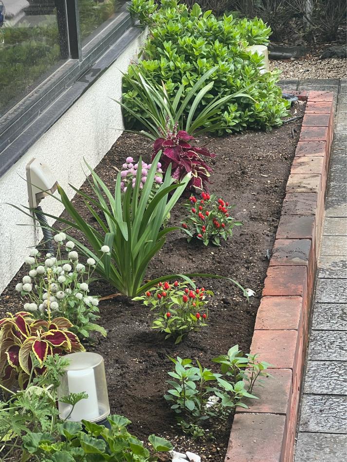 花壇が蘇る