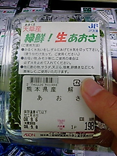 08 9 19 小さな天草その23 新鮮 生あおさ アーカイブ うちわebi S号
