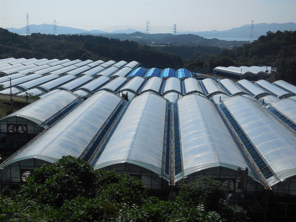 八ツ山ハウス団地②