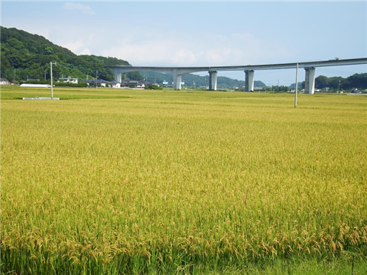 くすぼ