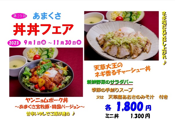 23.ヤヒロ丼丼web