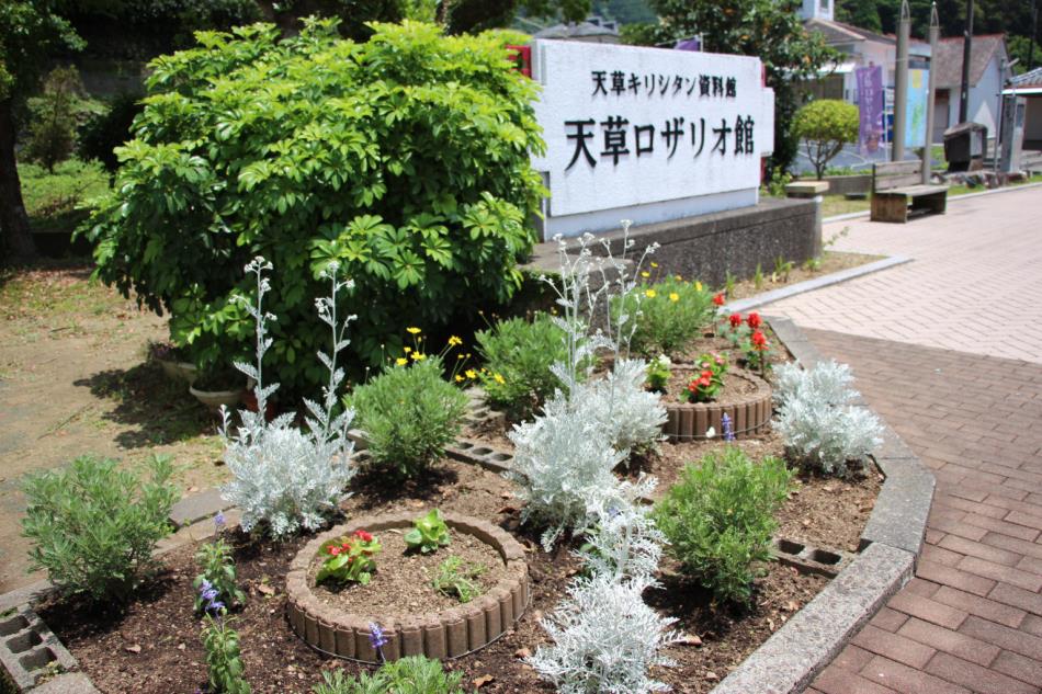 花植え替え後