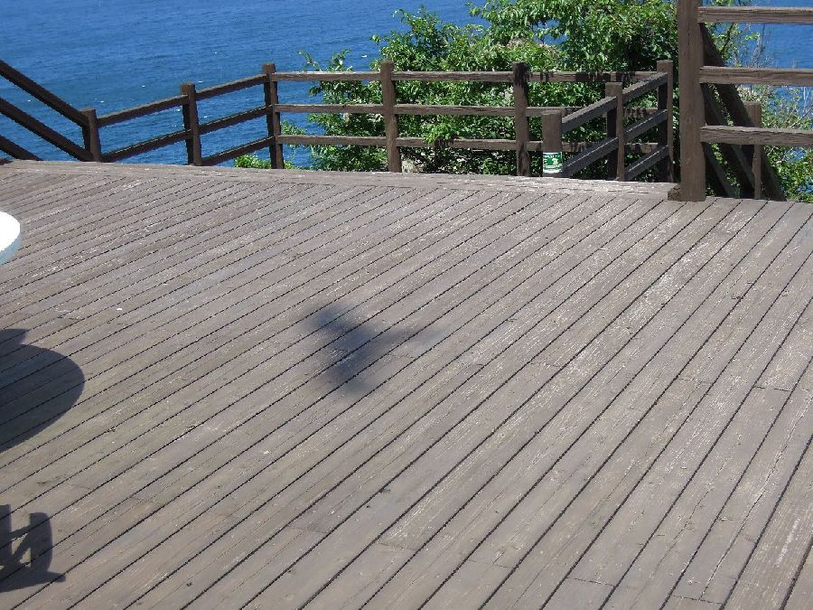 鳶03