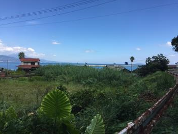 夏