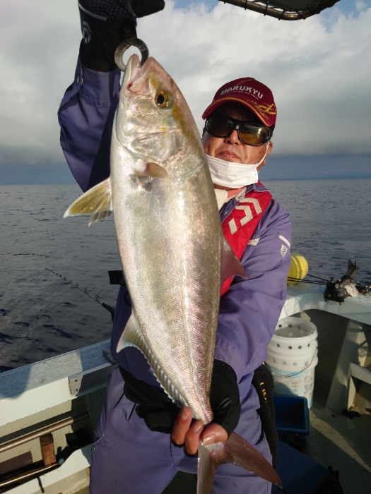 落とし込み釣り