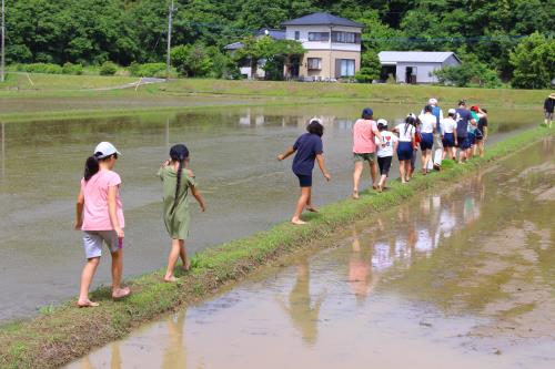 どきどきの田植え