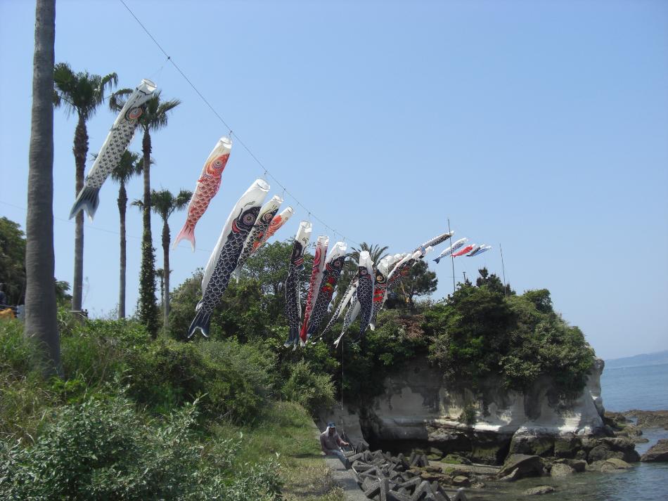 権現山鯉のぼり