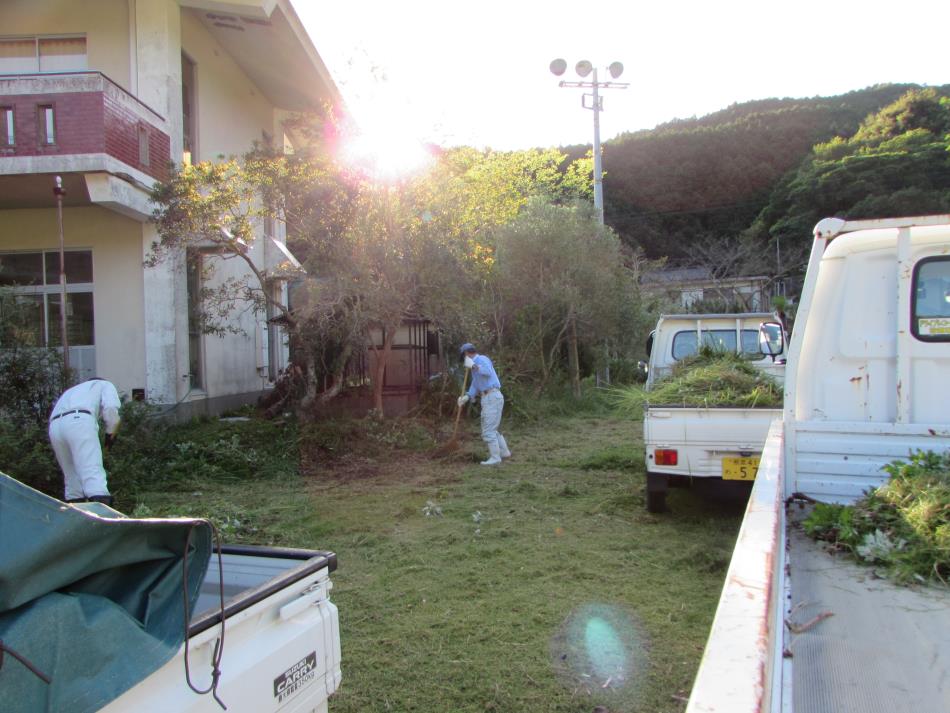 除草作業