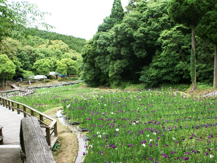 DSC03569