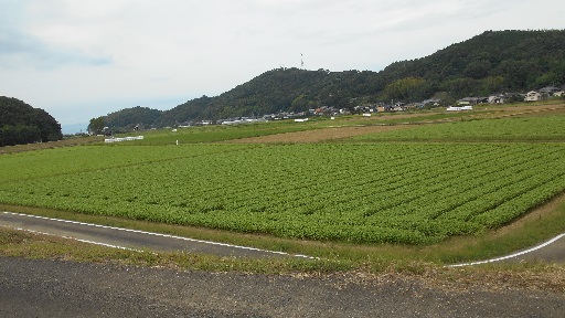 さかさま回転