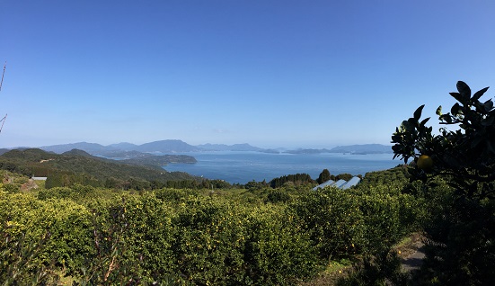 大多尾地区　03
