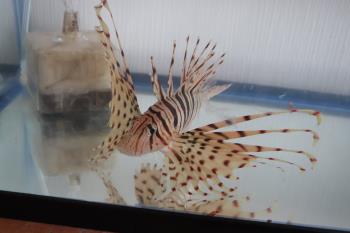 やばいよ！やばいよ！約２か月ぶりの投稿です( ;∀;)