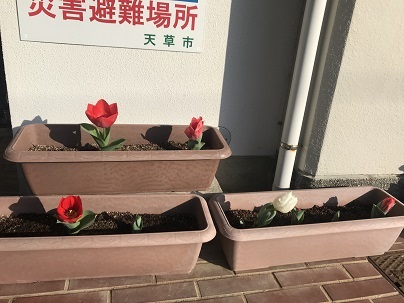 プランター