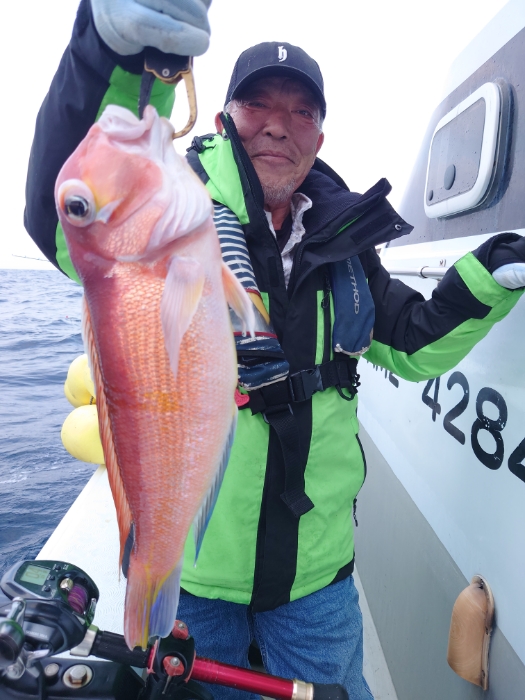 冷凍イワシと切り身釣り