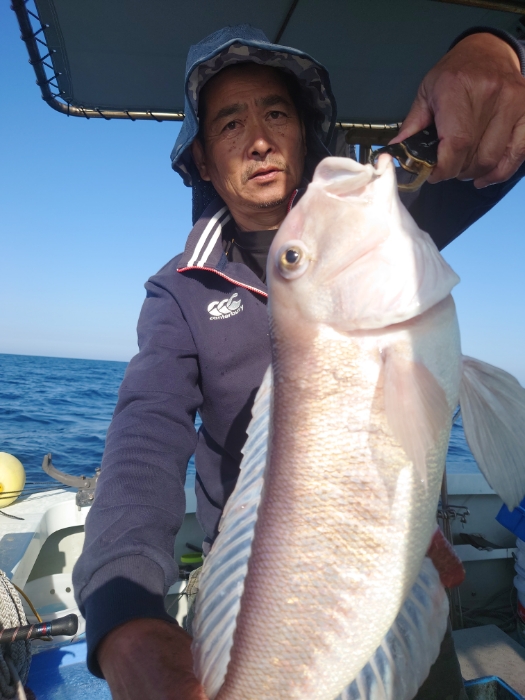 サバ子泳がせと切り身釣り
