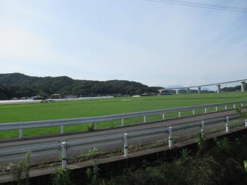たんぼ