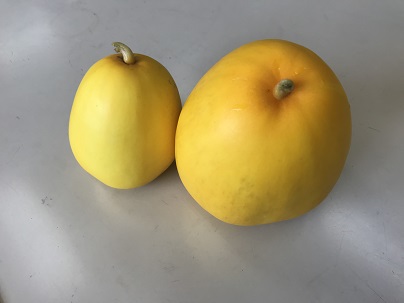 黄金まくわうり
