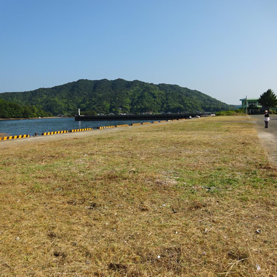 花火打ち上げ場所除草作業