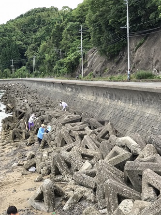 海岸途中