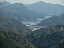 神父道から見た崎津・今富