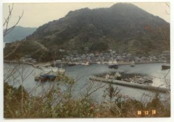 横浦島