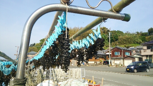 20150430-074324.jpg