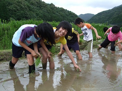 福連木小学校子供会田植え