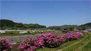 手野（R3）3