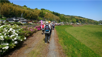 手野６