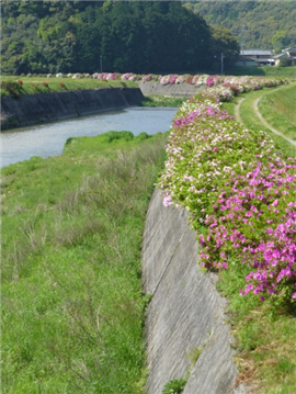 手野１