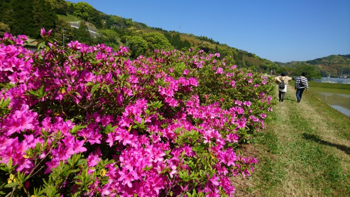 手野（R3）11