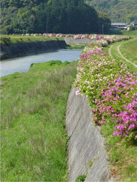 手野（R3）1