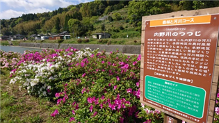 手野２