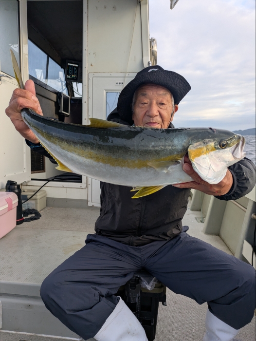 落とし込み釣り