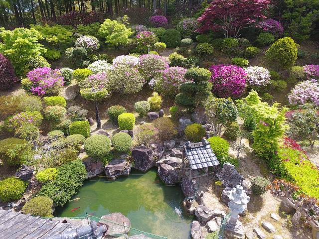 井出さんつつじ庭園 (14)